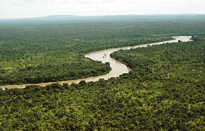 The Gambia River in the Niokolo-Koba National Park, Senegal