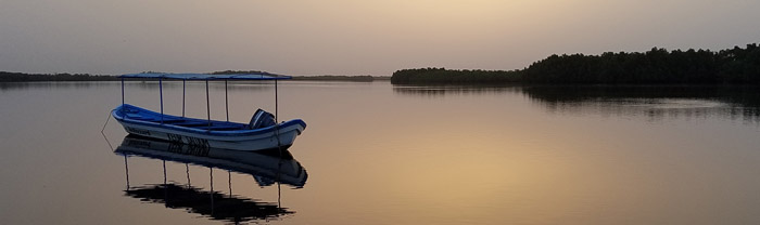 Sine-Saloum Delta of Senegal